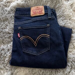 Levi's Men's Indigo Straight Jeans